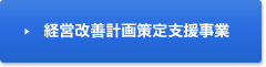 経営改善計画策定支援事業