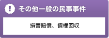 その他一般の民事事件